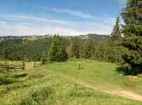 YAblunitsya